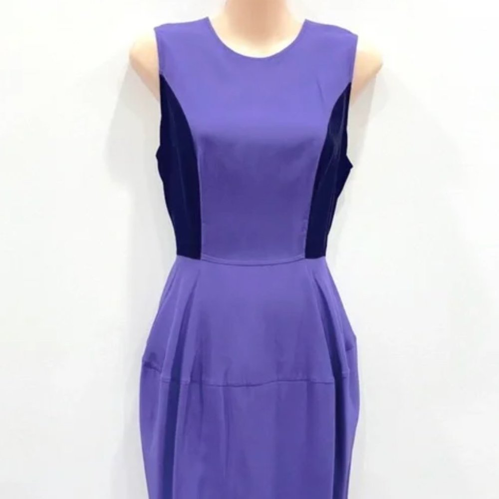 SALE-Elizabeth & James Purple Dress with Black Side Panels, size 6